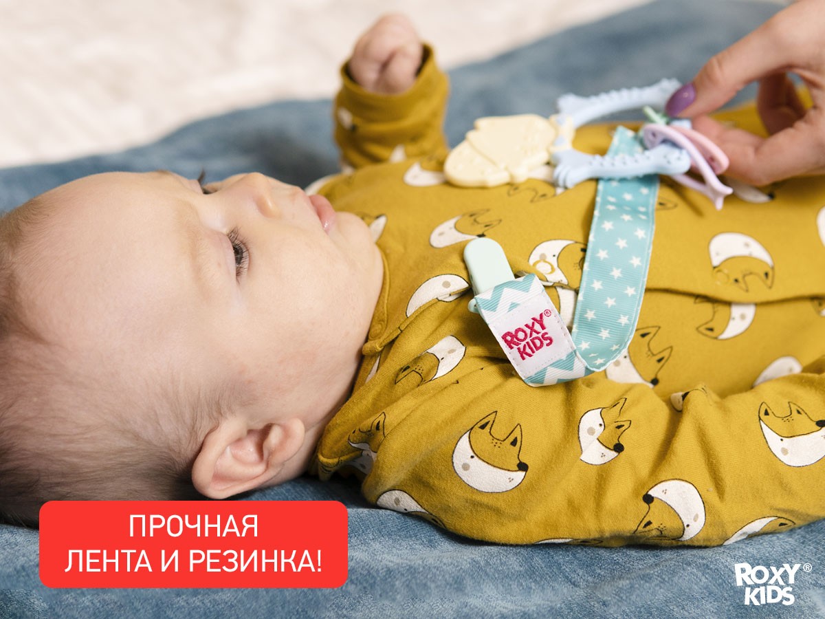 Держатель для пустышки и соски Roxy Kids  MINT SOOTHER SAVER 