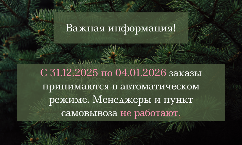 график работы 2025-2026