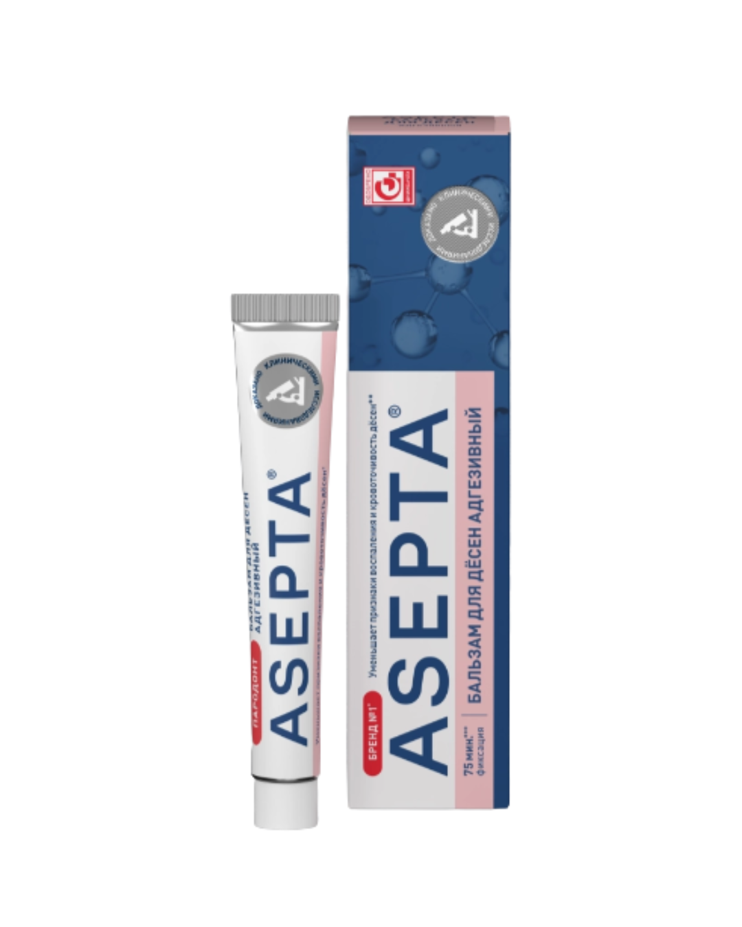 Бальзам для десен ASEPTA Адгезивный 10гр - в интернет-магазине tut-beauty.by