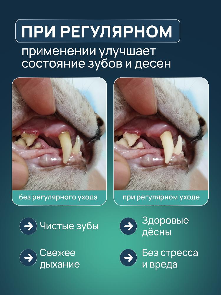 Зубная паста для кошек R.O.C.S. Мася и Мося 74гр